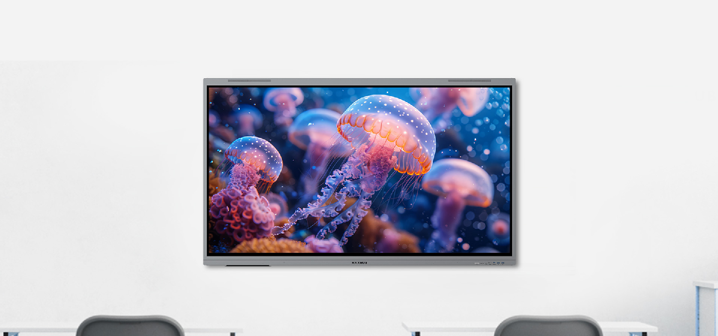 MAXHUB E3 Series E6530 Interactive Display 65"